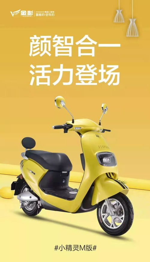 金彭電動(dòng)車無錫產(chǎn)品展示 品質(zhì)與創(chuàng)新的完美交匯